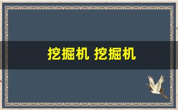 挖掘机 挖掘机(挖掘机挖掘机挖掘机挖掘机工作)_https://www.wanyuyiyao.com_深交所_第1张